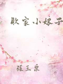 败家小娘子