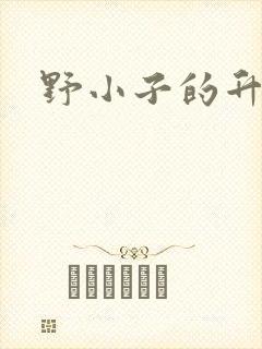 野小子的升官路