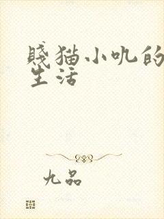 贱猫小叽的幸福生活