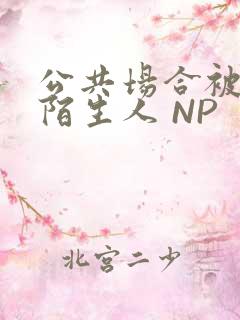 公共场合被各种陌生人 NP