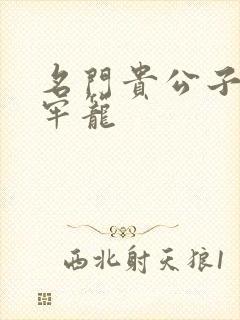 名门贵公子炙热牢笼