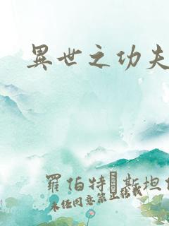 异世之功夫之王