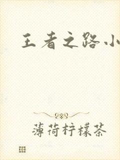 王者之路小说