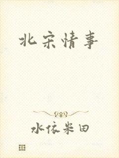 北宋情事