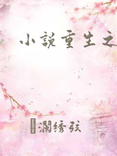 小说重生之官道