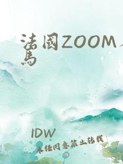 法国ZOOM人马