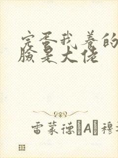 完蛋我养的小白脸是大佬