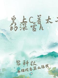 皇上C着太子妃的深处h