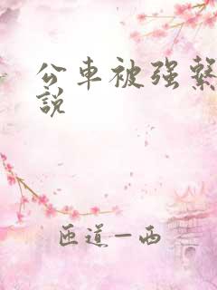 公车被强系列小说