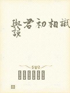 与君初相识 小说