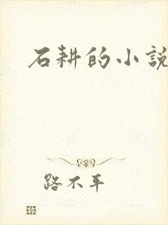 石耕的小说