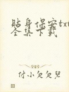 贴身保安txt全集下载