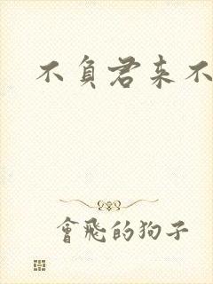 不负君来不负清