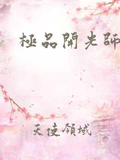 极品开光师阅读