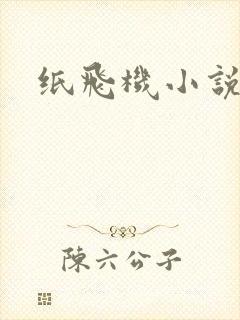 纸飞机小说