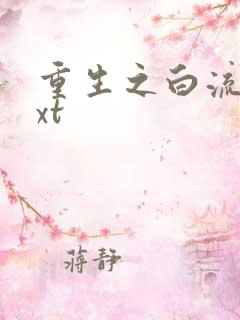 重生之白流苏txt