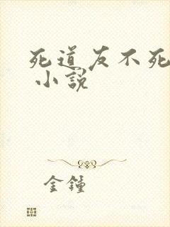 死道友不死贫道 小说