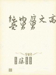 纯肉腐文高H总受男男