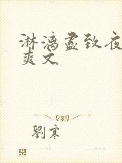 淋漓尽致夜晚小爽文