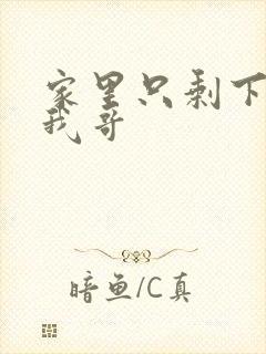 家里只剩下我和我哥