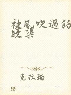 被风吹过的夏天晓渠