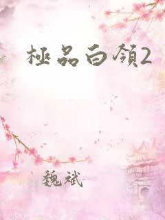 极品白领2