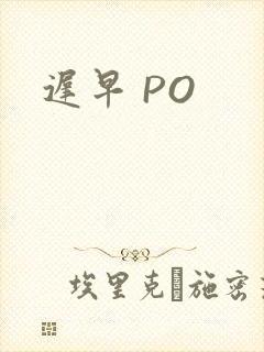 迟早 PO