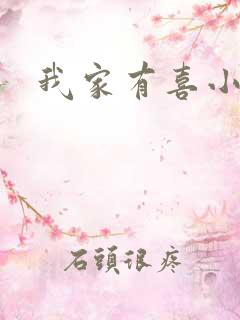我家有喜小说