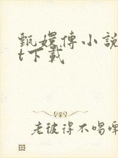 甄嬛传小说txt下载