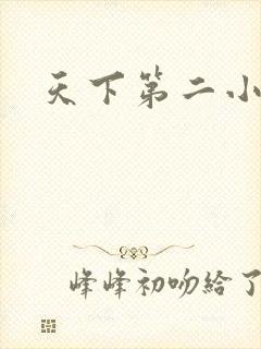 天下第二小说
