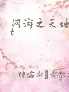 网游之天地txt
