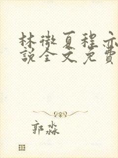 林微夏程亦风小说全文免费