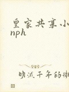 皇家共享小公主nph