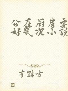 公在厨房要了我好几次小说