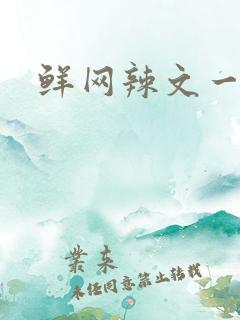 鲜网辣文一对一