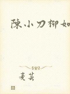 陈小刀柳如意