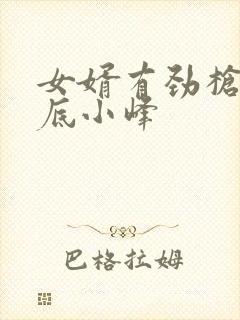 女婿有劲枪枪到底小峰