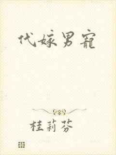 代嫁男宠