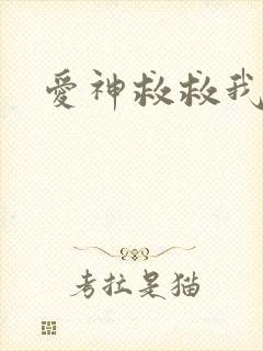 爱神救救我吧