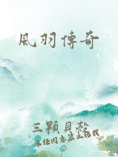 风羽传奇