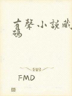 有声小说藏地密码