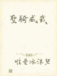 圣骑威武