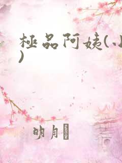 极品阿姨(小说)