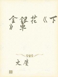 金银花《下厨房》车