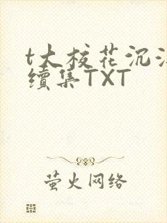 t大校花沉浮录续集TXT