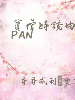 贫僧时镜肉补全PAN