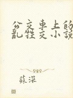 公交车上的疯狂乱牲交小说