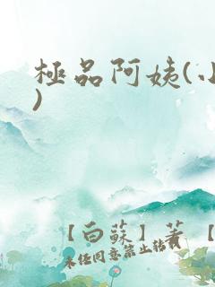 极品阿姨(小说)