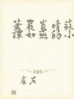 萧严肖晴苏雨溪谭如燕的小说