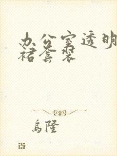 办公室透明半身裙套装